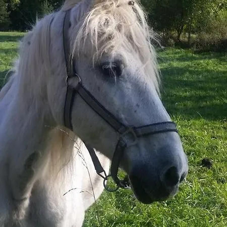 Des Deux Rivieres Apartament